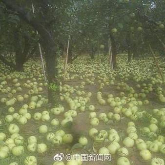 安徽暴雨最新消息，风雨中的坚守与希望