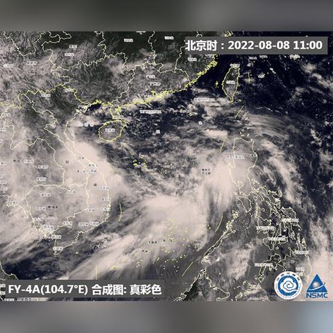 台风最新发布，风雨中的警报与应对