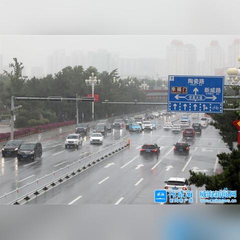 双台风最新消息，风雨中的守护与应对