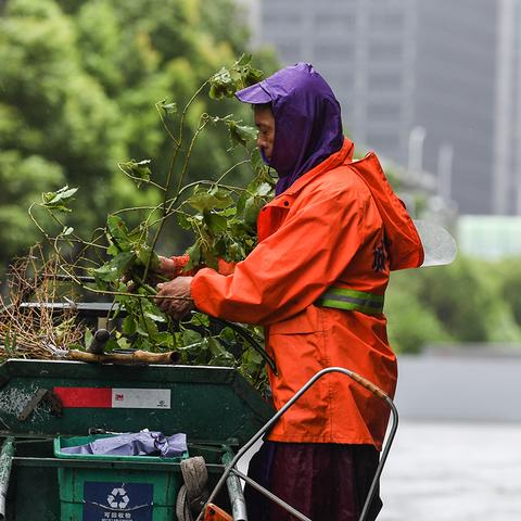 上海台风最新动态，风雨中的城市守护与应对