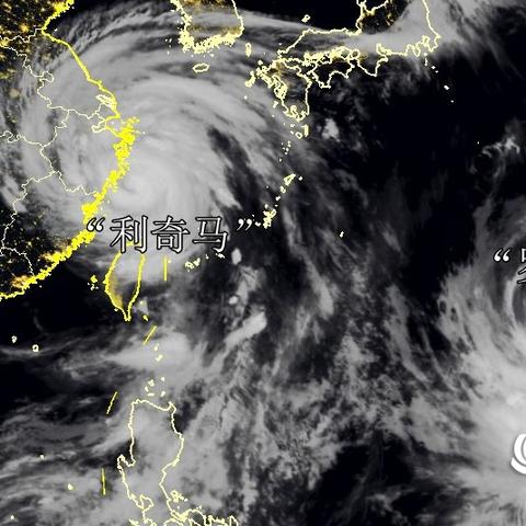 最新台风情况深度解析