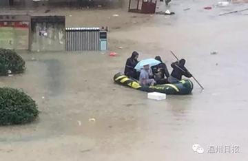 温州台风网最新消息，风雨中的守望与行动