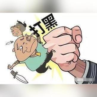 广发娱乐，实际应用与经典案例的深度解析