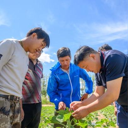 石河子气温预报最新版——掌握天气变化，做好生活准备