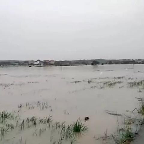 湖南永州降雨最新消息