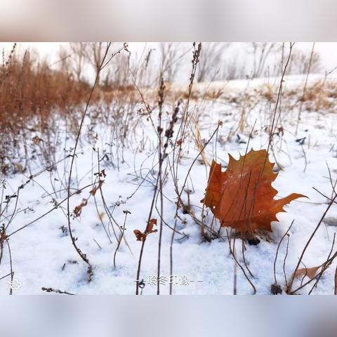 烟台暴雪路况最新消息