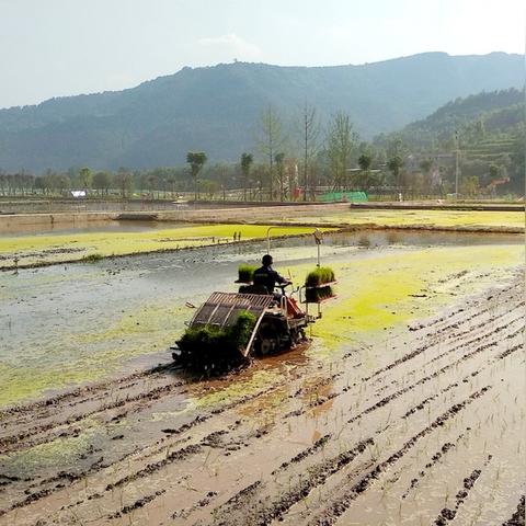 通江广纳镇最新消息