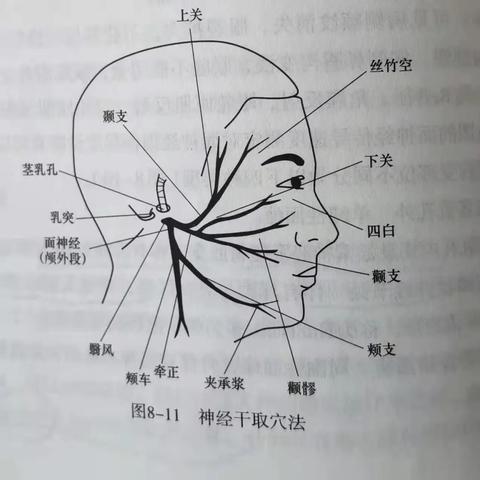 茎乳孔|环境可持续发展策略