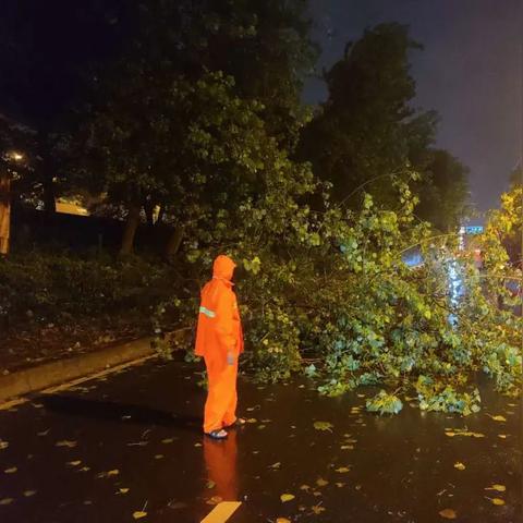 台风黑格比苏州最新路径|项目管理工具与应用