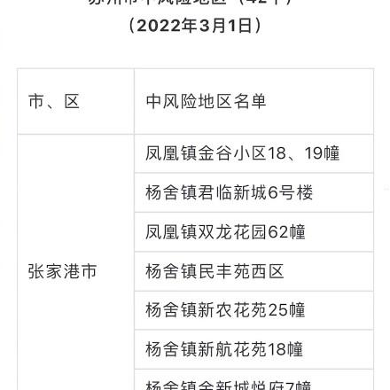 项目风险评估报告 第4页