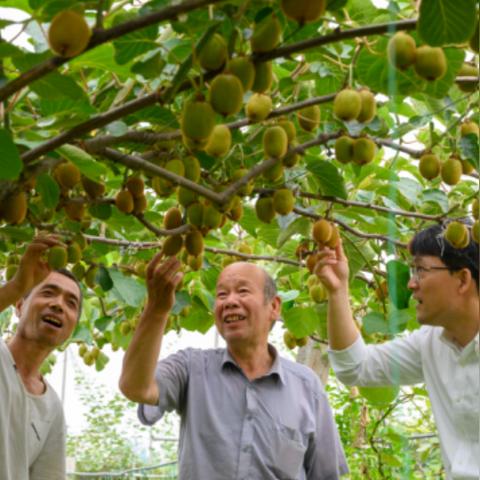 苏州去丹阳货车最新通告|企业文化建设与传播