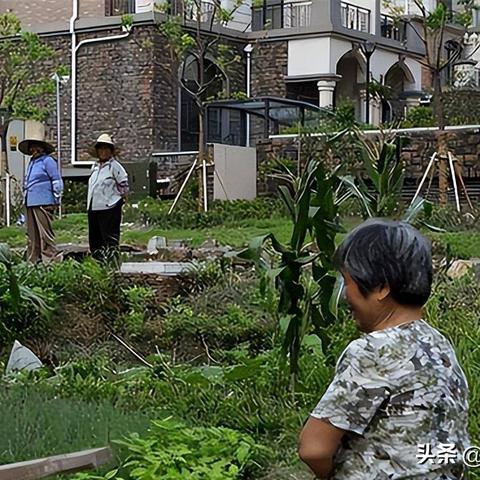 最新苏州拆迁规划图|实际应用及其经典案例