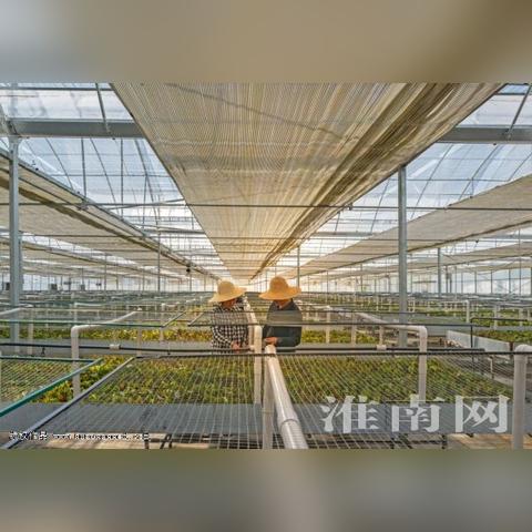 苏州田家庵复工时间最新|市场需求分析与预测