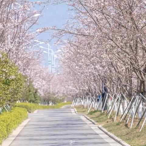 苏州北海道未来规划最新|绝对经典解释落实